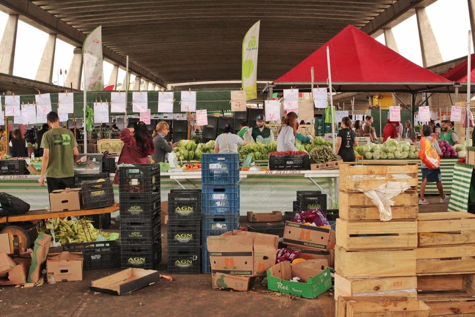 Comida barata em Agrolândia: onde comer bem gastando pouco — Junho 2026
