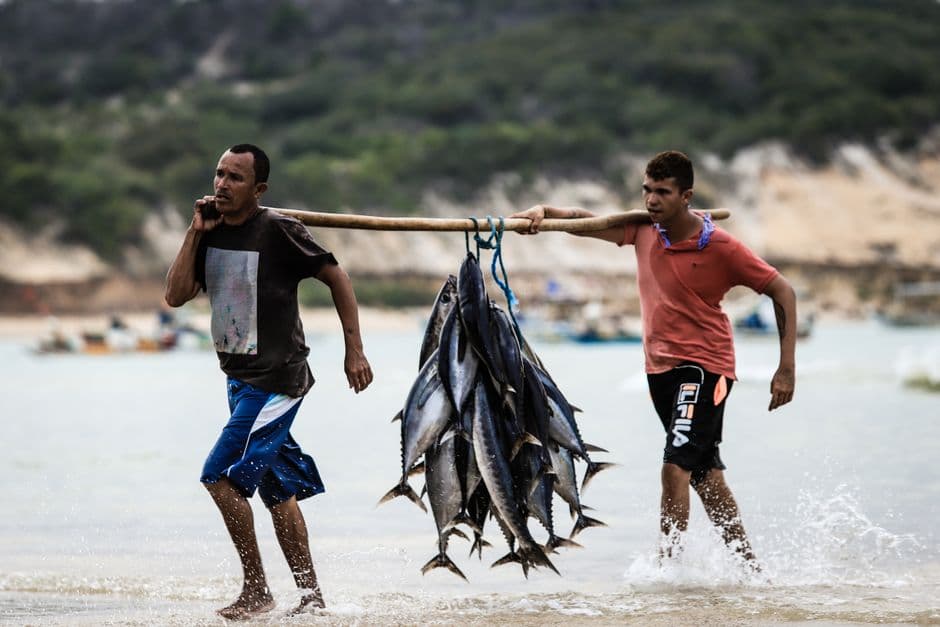 Os 4 melhores frutos do mar em Armação dos Búzios — Junho 2026