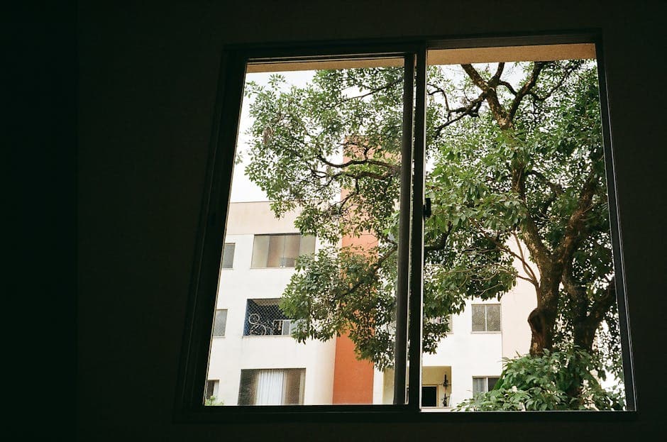 Looking through a window at a lush tree and apartment building in Centro, Brazil.