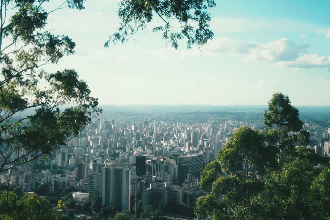A lush view of a metropolitan city.