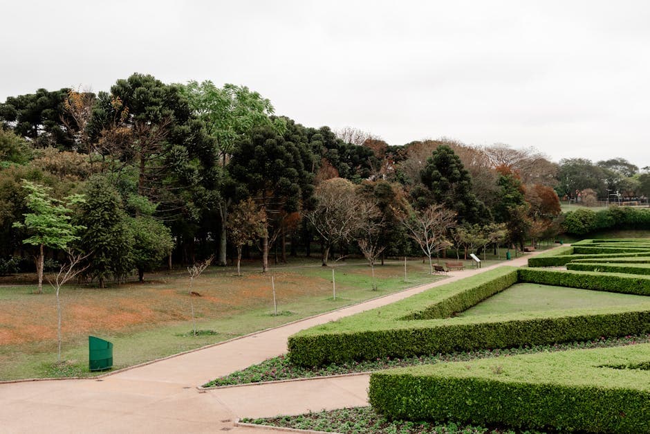 Peaceful landscape in Curitiba showcasing manicured hedges and lush greenery in a serene park setting.
