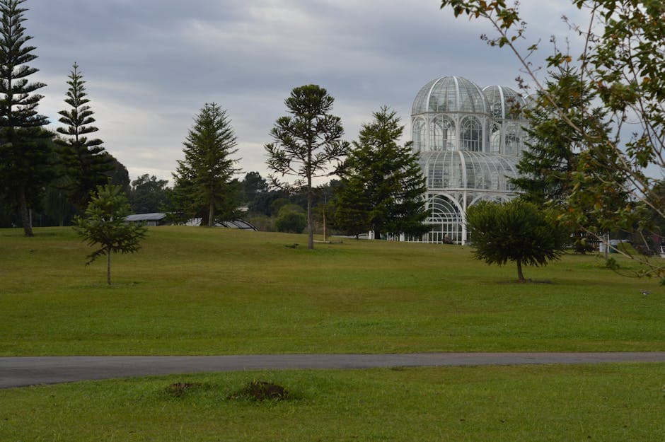 Scenic view of Curitiba's greenhouse at the Botanical Garden surrounded by lush greenery.