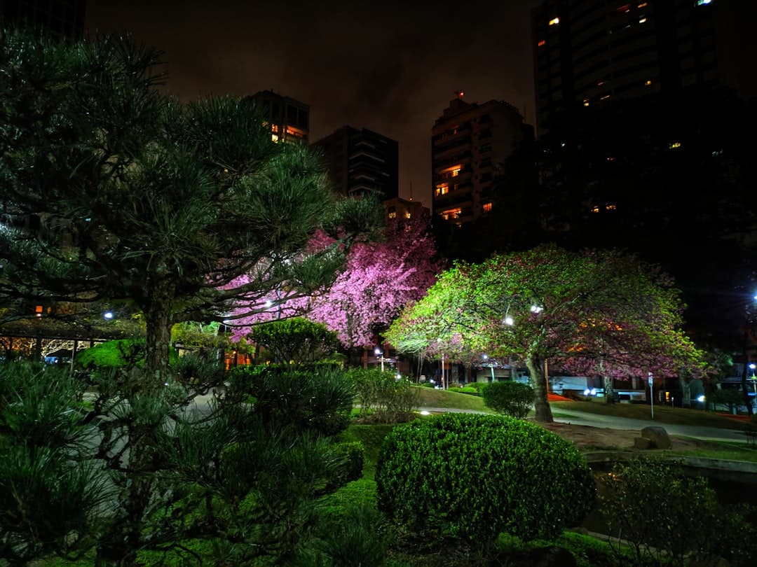 buildings surrounded with green trees during night time