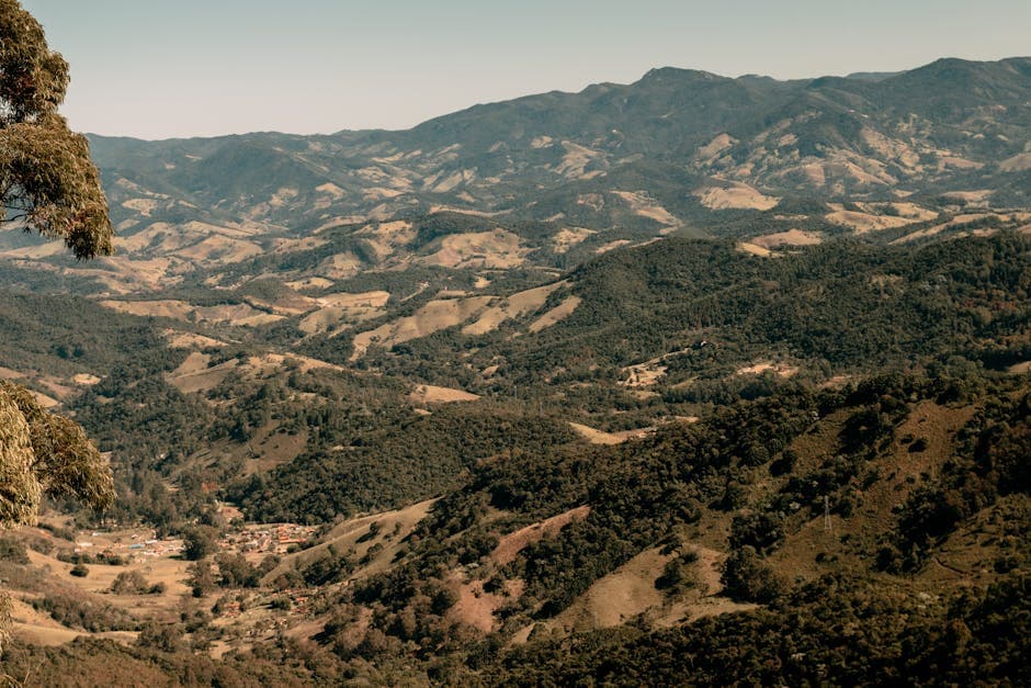 Breathtaking view of Campos do Jordão's rolling hills under a clear sky, showcasing Brazil's natural beauty.