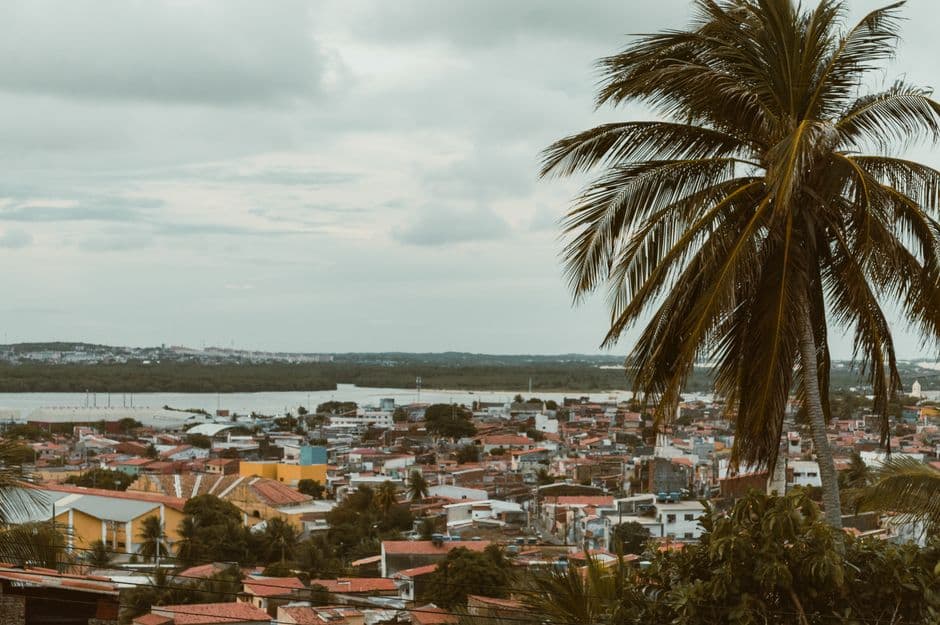 Scenic view of Natal, Brazil with palm trees and colorful buildings under a cloudy sky.