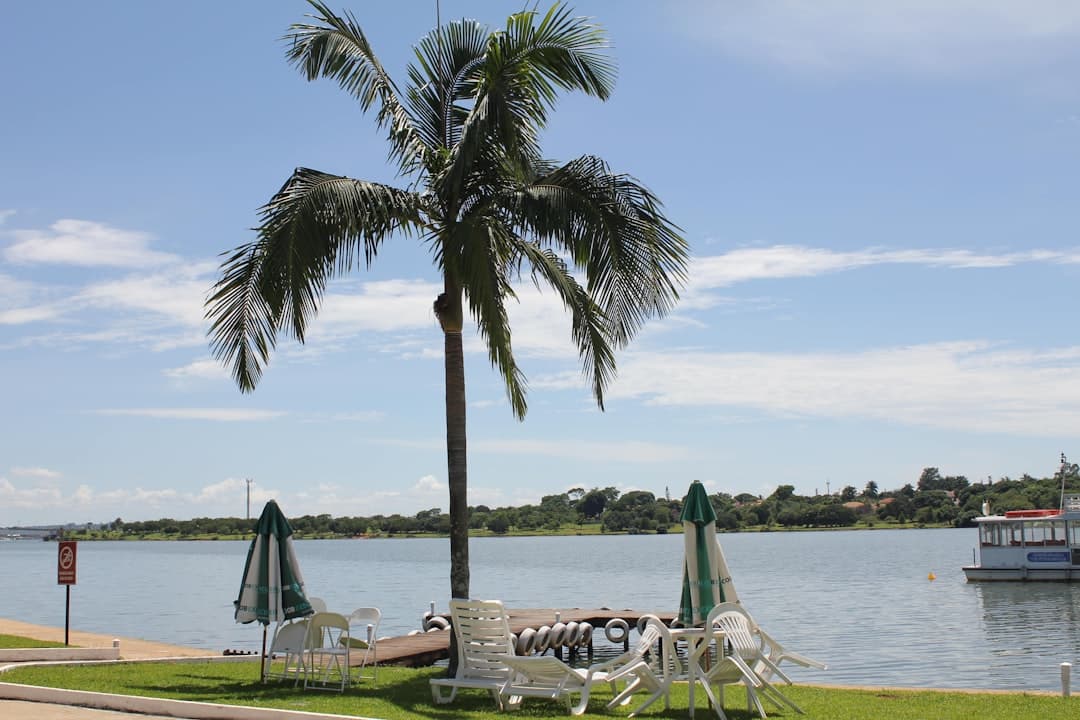white and green lounge chairs on green grass field near body of water during daytime
