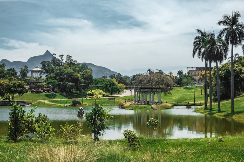 Beautiful landscape of a park in Rio de Janeiro with a lake and lush greenery.