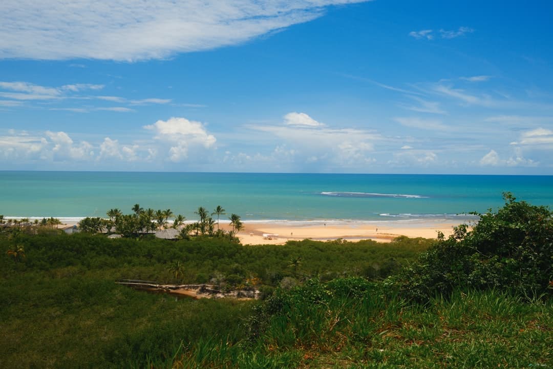 A view of a beach and ocean from a hill