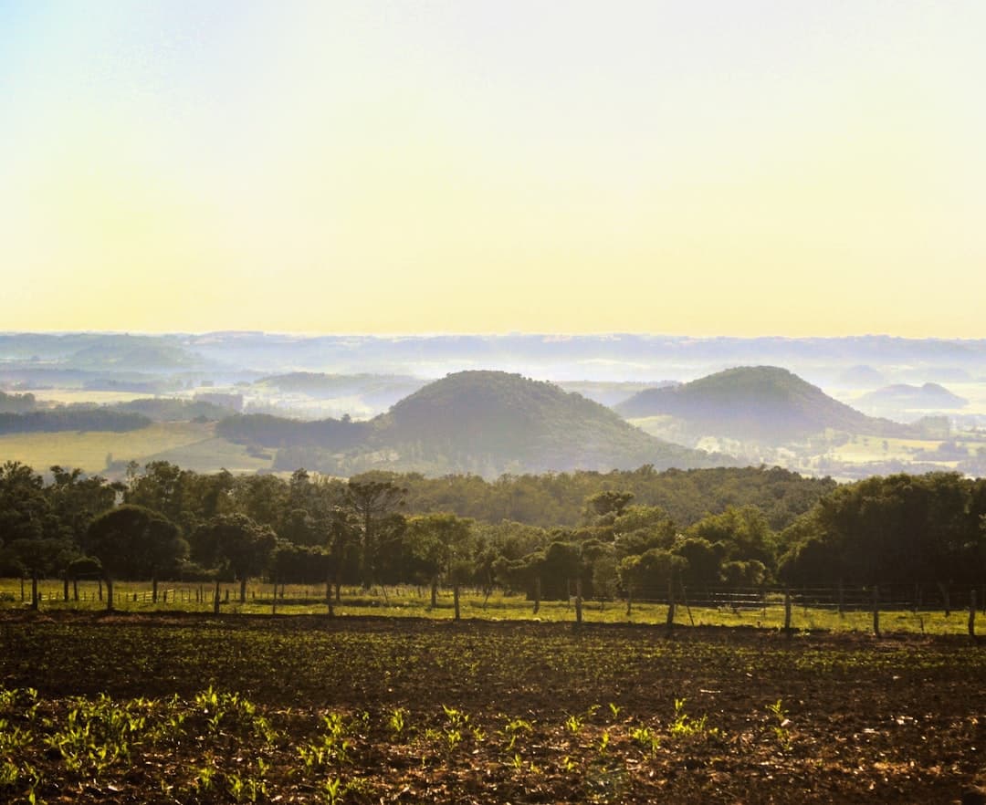 Monte Alto: onde comer bem na cidade — Junho 2026
