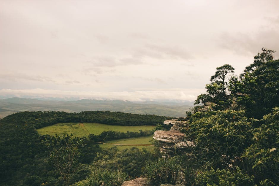 Explore the lush greenery and rocky terrain of São Tomé das Letras, Brazil, under a muted sky.