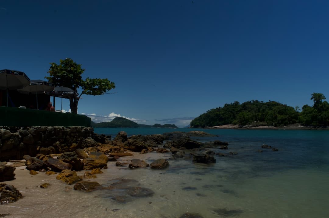 Os 3 melhores restaurantes japoneses de Paraty — Junho 2026
