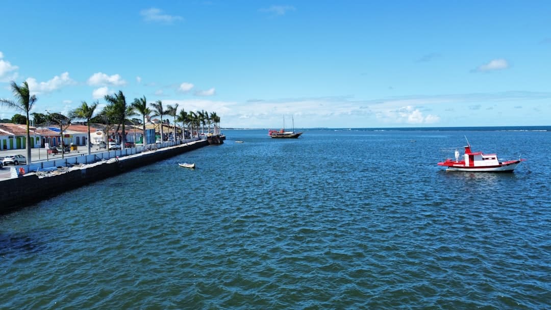 boats in the water