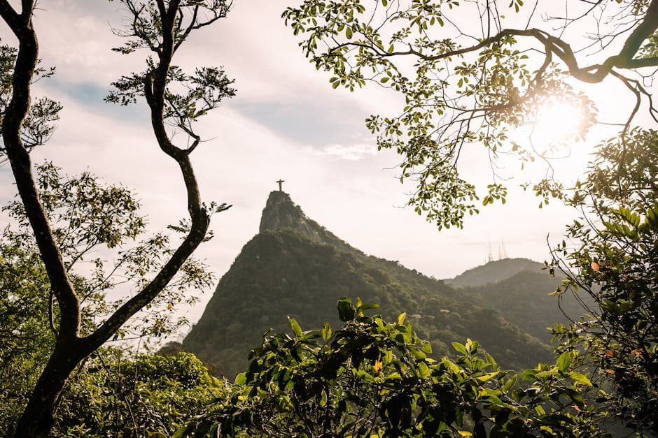 Scenic view of Christ the Redeemer statue framed by trees in Rio de Janeiro.