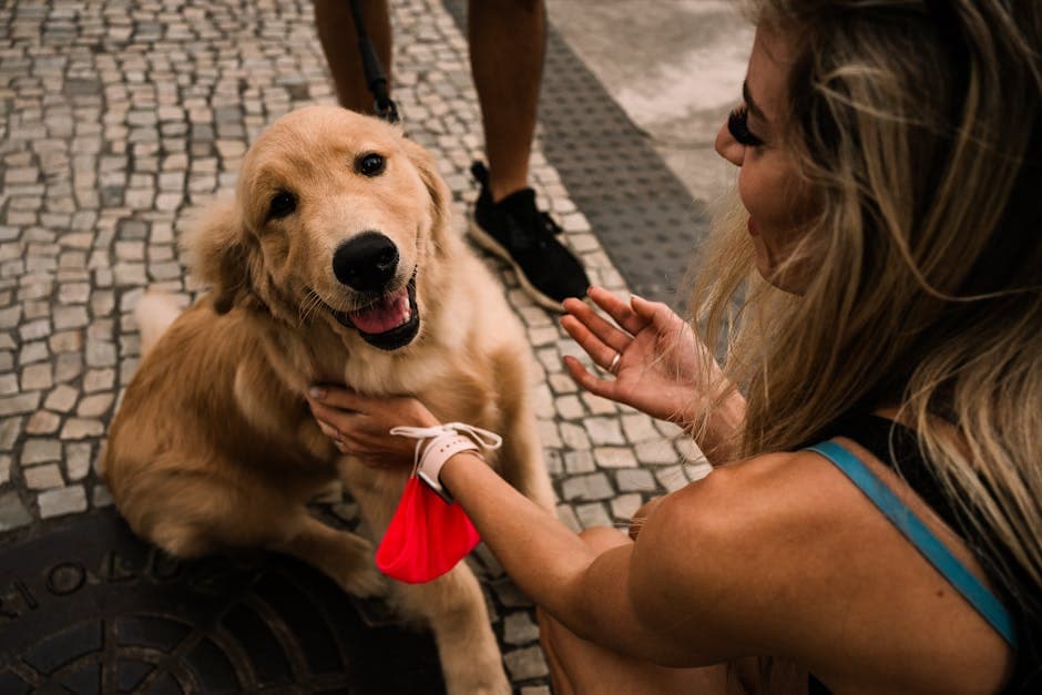 A joyful Golden Retriever being affectionately pet by a woman in Rio de Janeiro's vibrant street.
