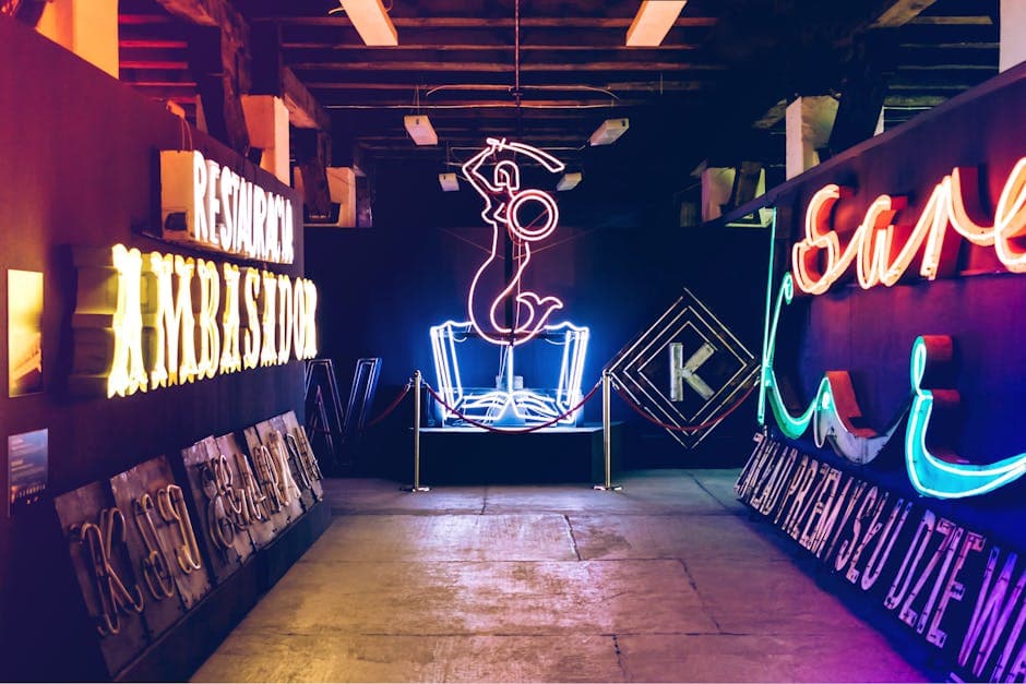 Colorful neon lights in an indoor museum setting showcasing artistic signs.