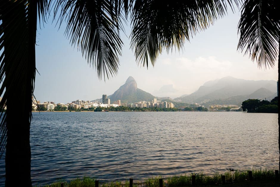 Panoramic view of Pedra da Gávea framed by palm trees in Rio de Janeiro, Brazil.
