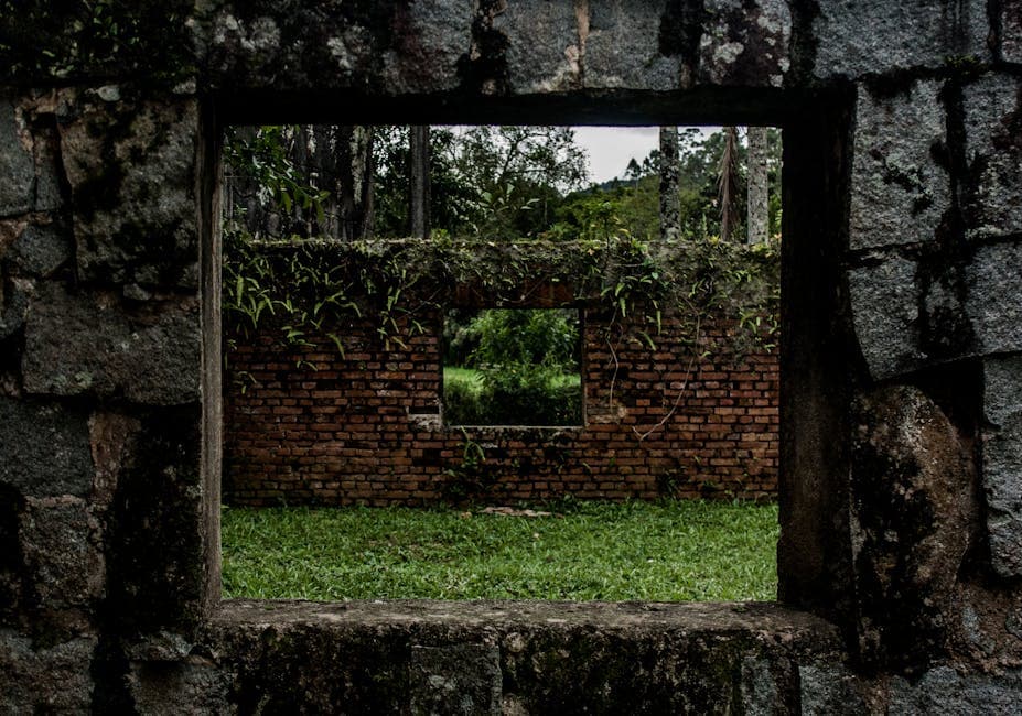 A windowed view of an overgrown, abandoned brick structure in rural São Pedro de Alcântara, Brazil.