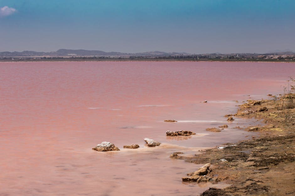 Breathtaking view of the pink salt flats in Torrevieja, Spain during summer.