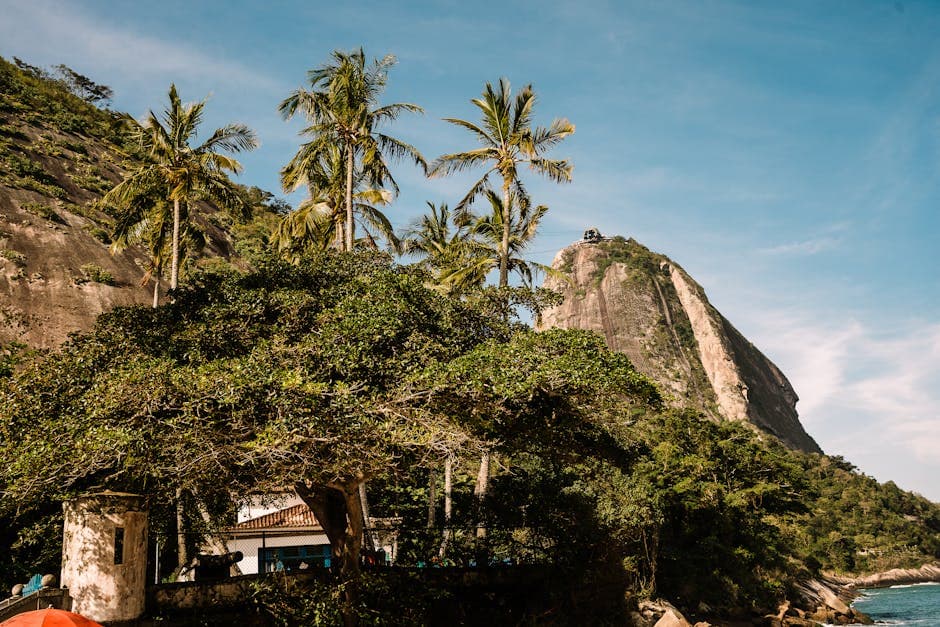 Scenic view of Sugarloaf Mountain with lush greenery and palm trees in Rio de Janeiro, Brazil.