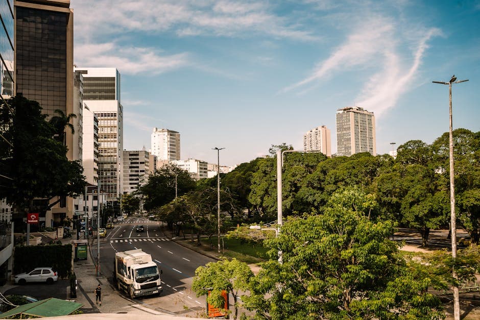 A bright urban scene in Rio de Janeiro with trees and modern buildings lining the street.