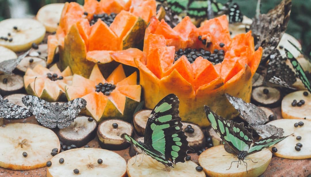 two butterflies near papaya fruit