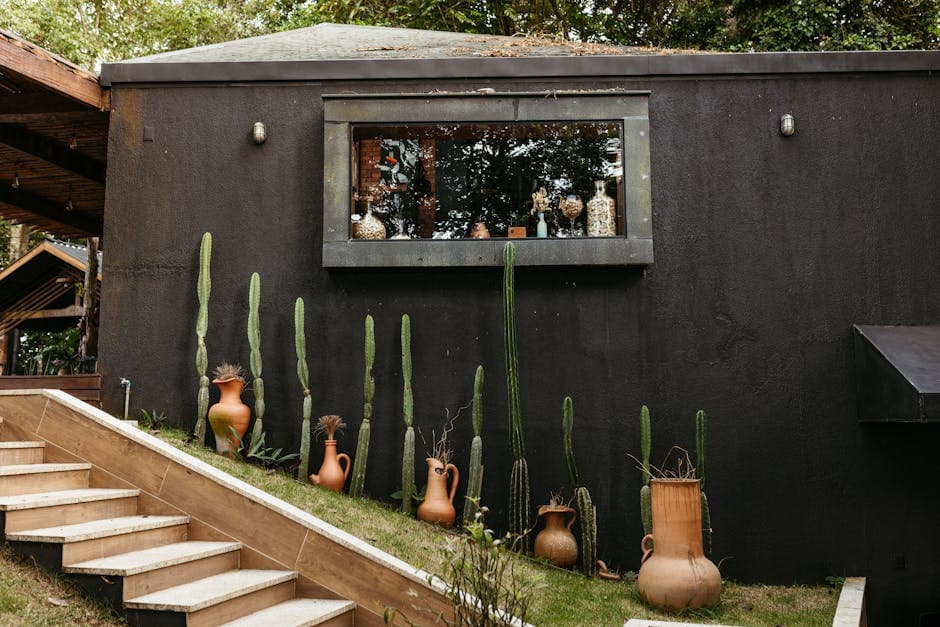 Modern architectural wall with cacti and pottery in Santa Teresa, Brazil.