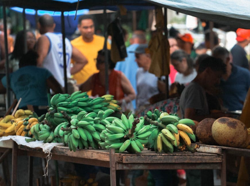 Comida boa e barata em Santo Antônio do Monte — Junho 2026