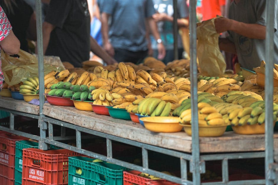 Comida boa e barata em Santo Cristo: onde comer gastando pouco — Junho 2026