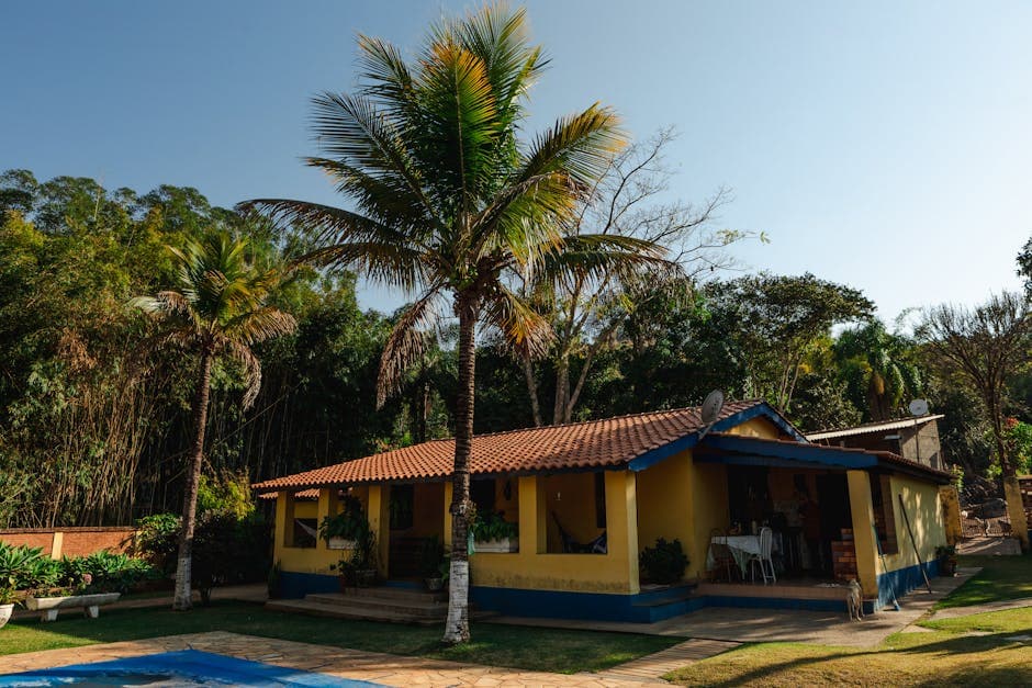 Sunny day view of a rustic house surrounded by tropical trees in Espírito Santo do Pinhal, Brazil.