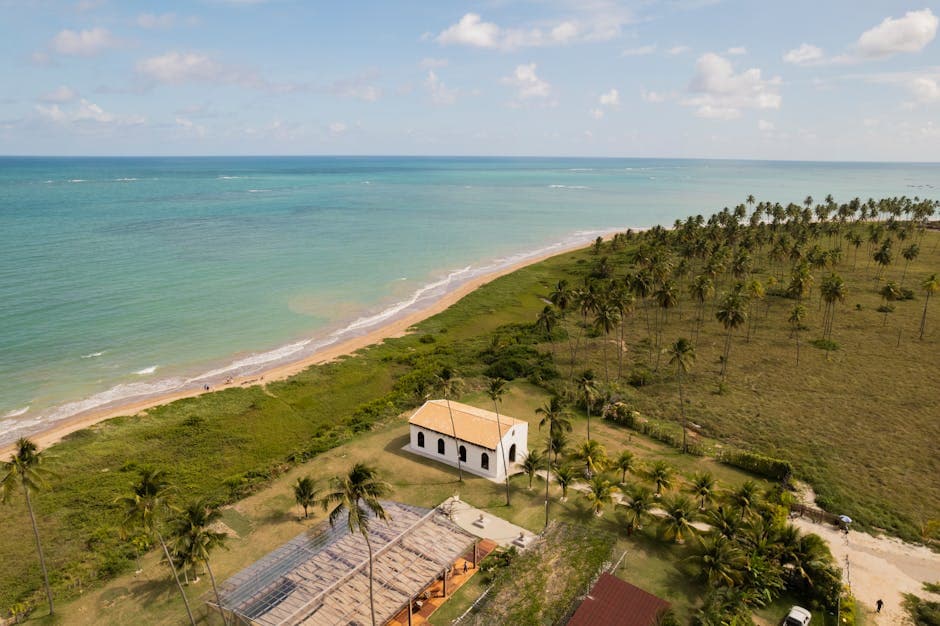 A serene aerial view of São Miguel dos Milagres, Brazil, showcasing a pristine coastline and palm groves.