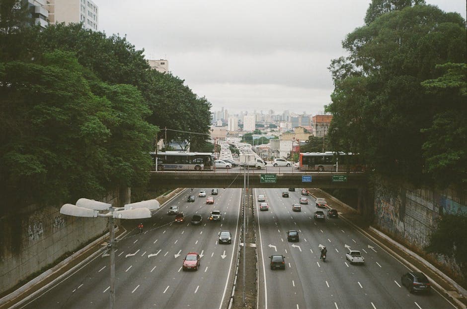 From above of busy asphalt road with cars and vehicles between lush green trees behind concrete walls
