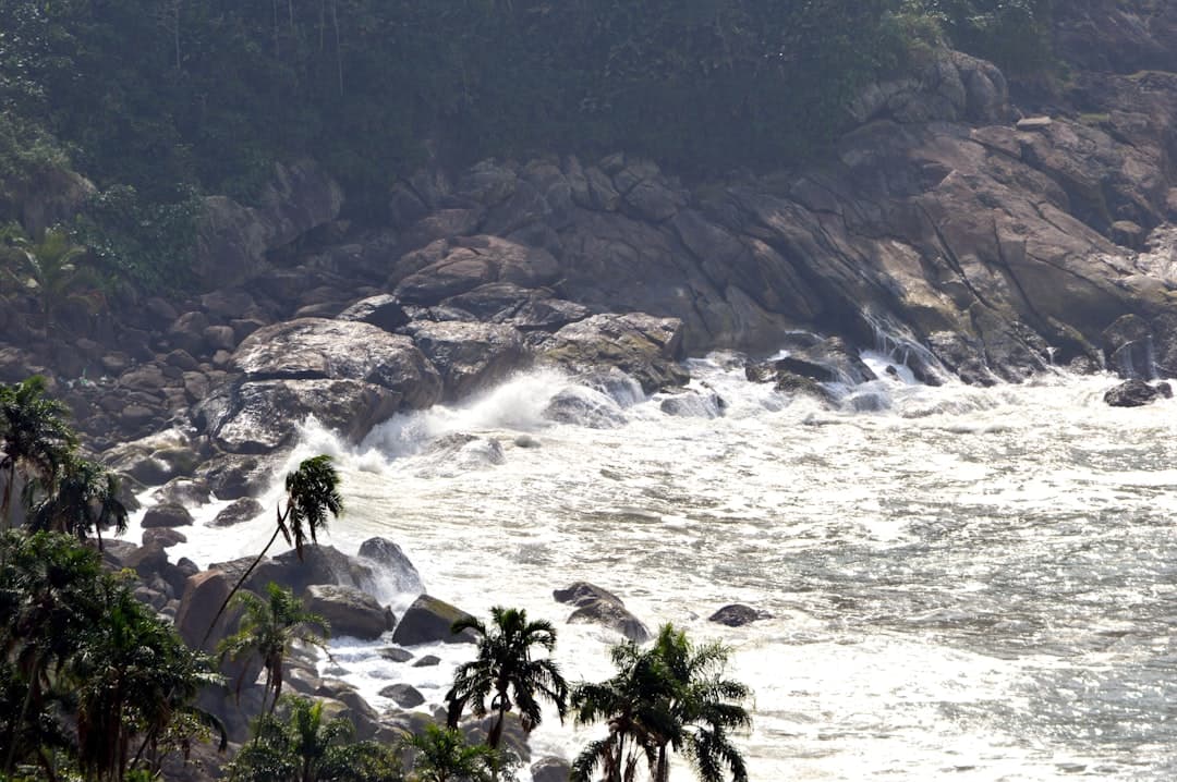 a large body of water surrounded by trees