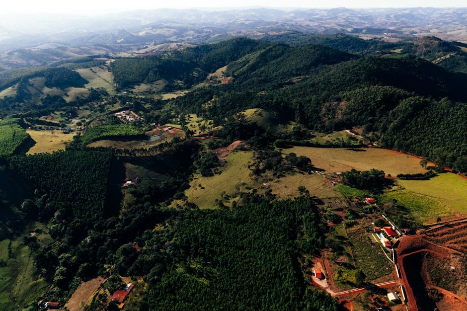 Sabores de Tangará da Serra: onde comer hoje — Junho 2026