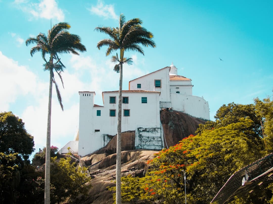 white concrete building near palm tree during daytime