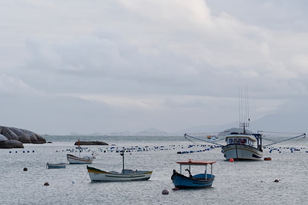 blue and white boat on sea during daytime