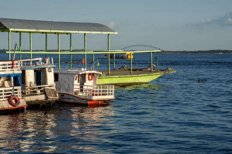 Riverboats and dock on Rio Negro in Manaus, capturing serene water views.