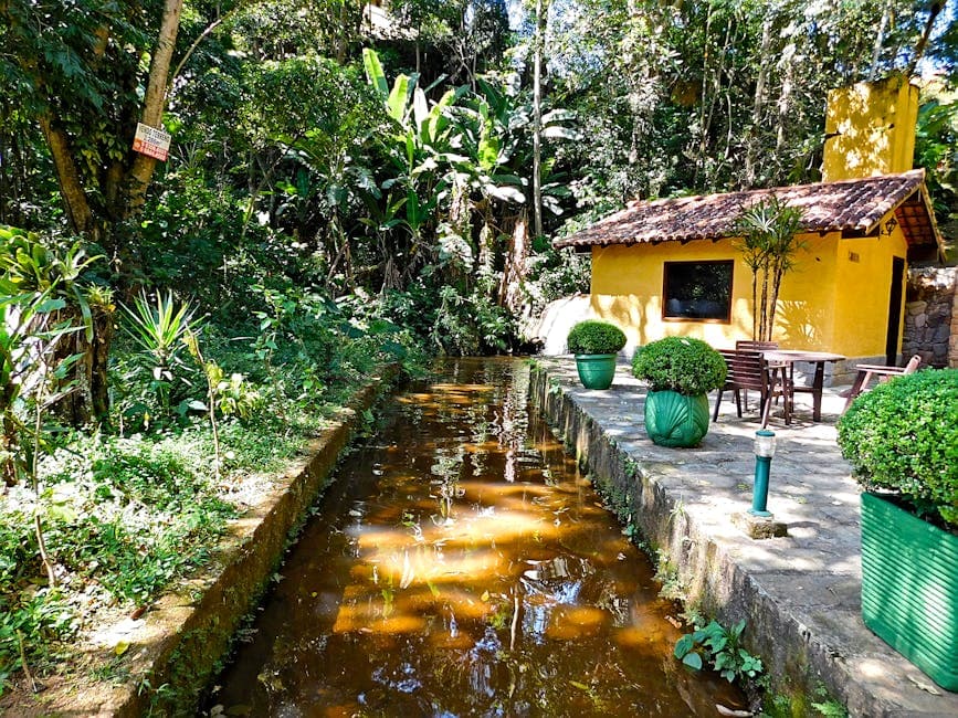 A tranquil forest cabin by a stream in Rio de Janeiro, surrounded by lush greenery.