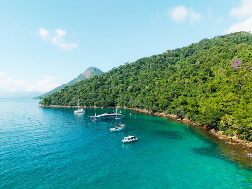 Stunning aerial shot of clear turquoise waters and moored boats along Ilha Grande's lush coastline in Brazil.