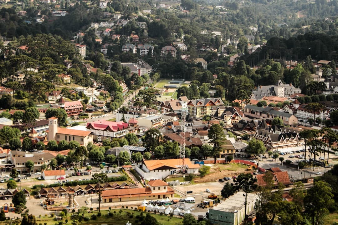 aerial view of houses and trees