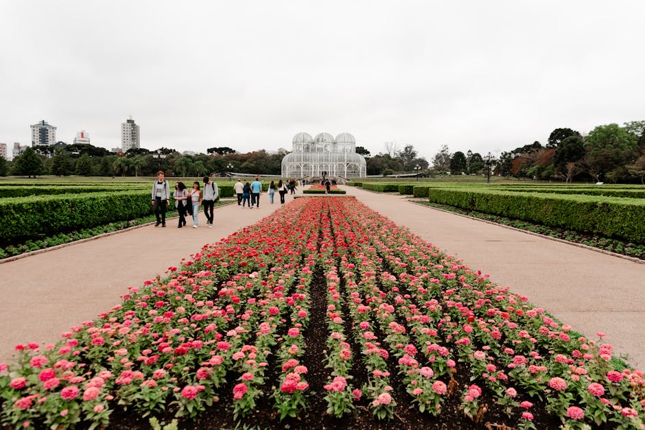 Explore the vibrant floral display and greenhouse at Curitiba's Botanical Garden, a haven for nature lovers.