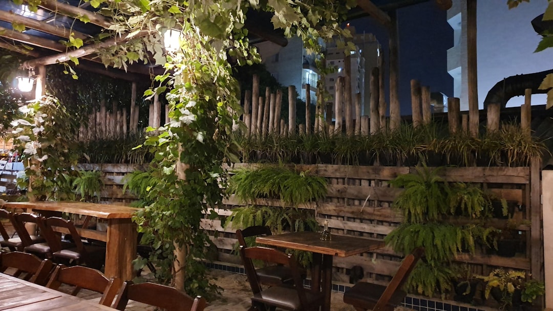 Sabores de Guaraqueçaba: onde comer na ilha e no interior