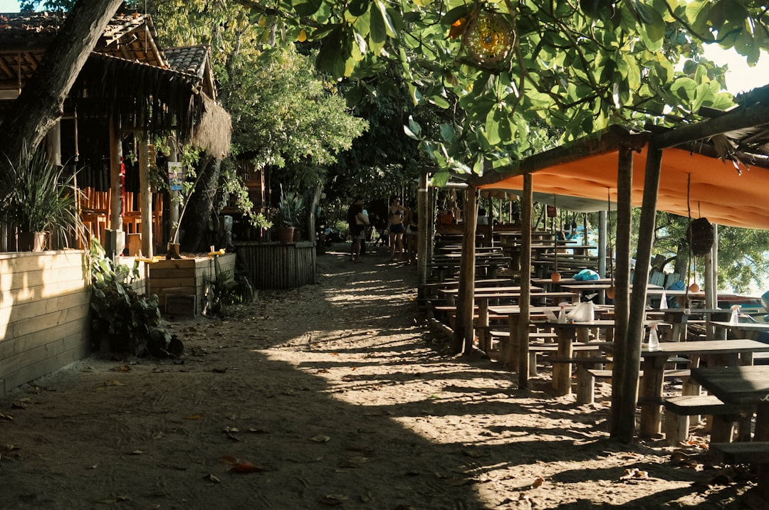 a row of wooden benches sitting next to a lush green forest