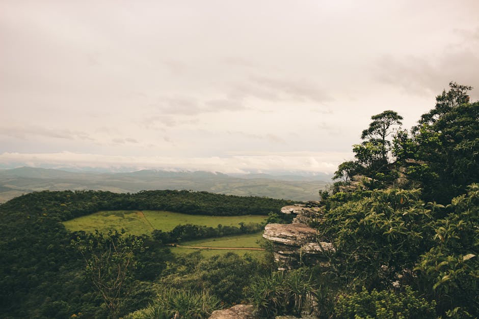 Explore the lush greenery and rocky terrain of São Tomé das Letras, Brazil, under a muted sky.