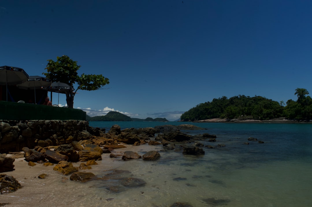 Tropical island coastline with clear blue water and rocks.