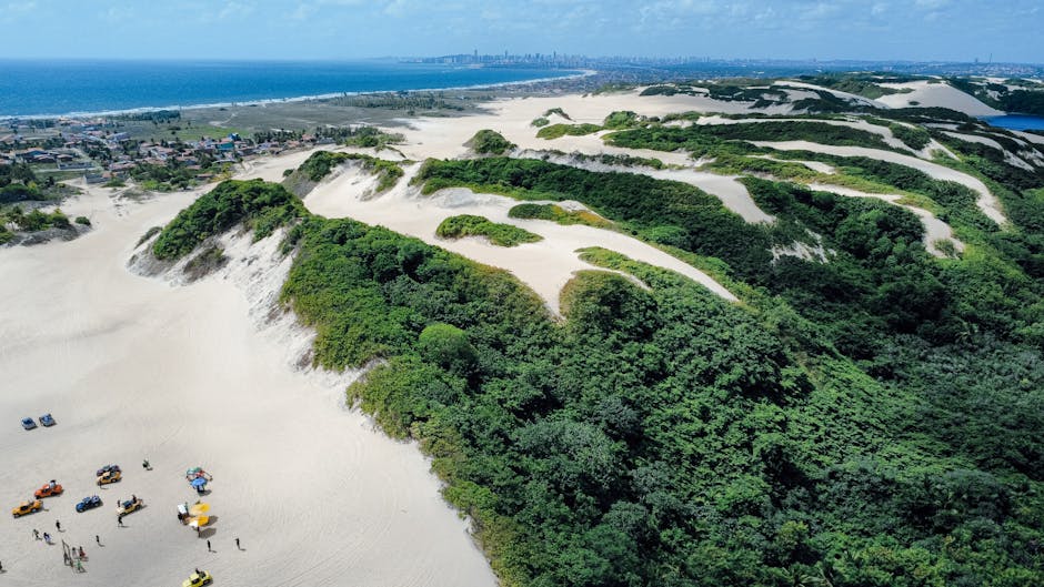 Stunning aerial view of lush green and sandy dunes in Natal, Brazil.