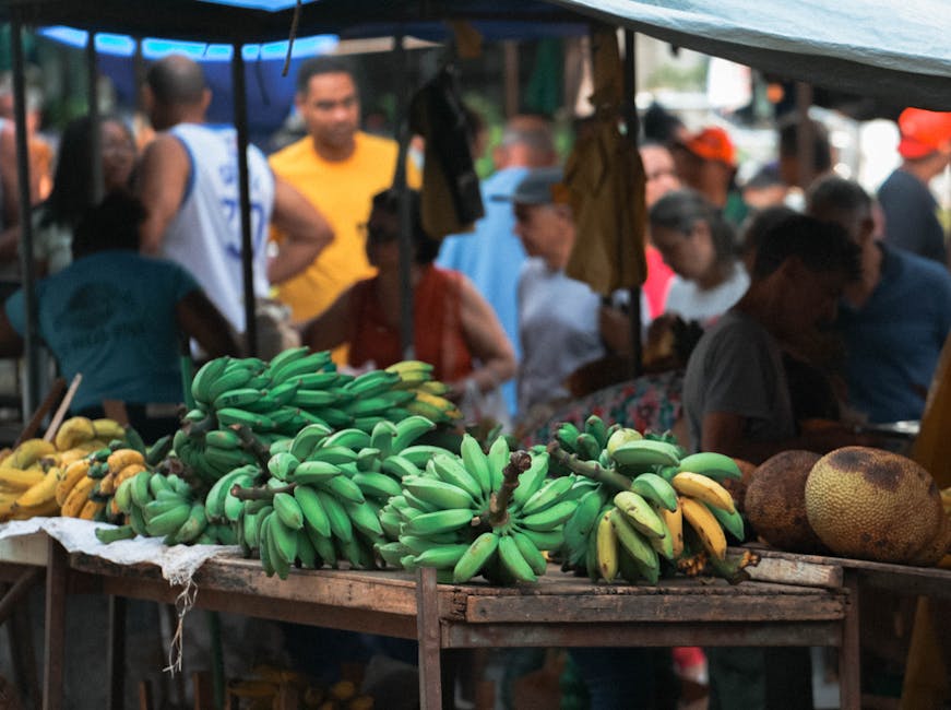 A vibrant outdoor market in Espírito Santo, Brasil featuring fresh green bananas and a bustling crowd.
