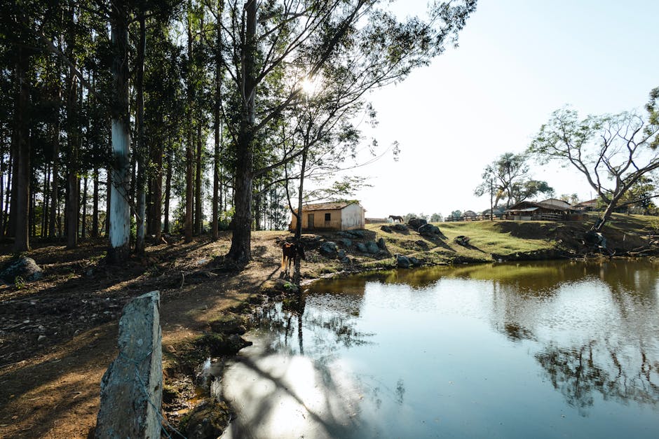 Serene rural landscape with lake, trees, and small house in Brazil's countryside.