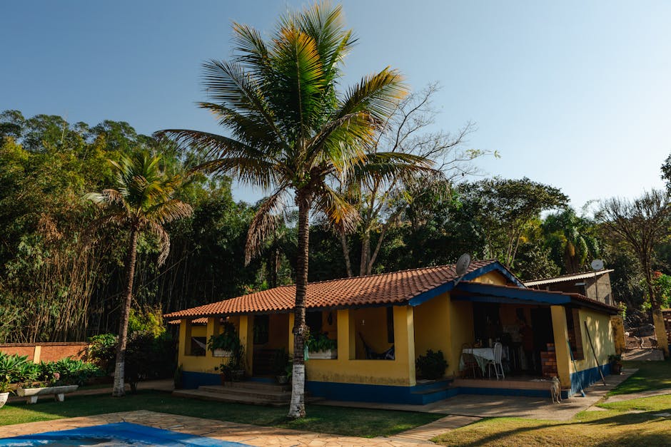 Sunny day view of a rustic house surrounded by tropical trees in Espírito Santo do Pinhal, Brazil.