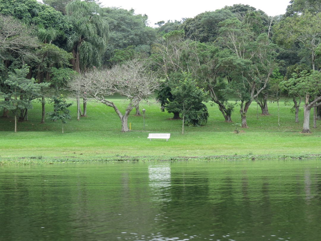 green grass field near lake during daytime