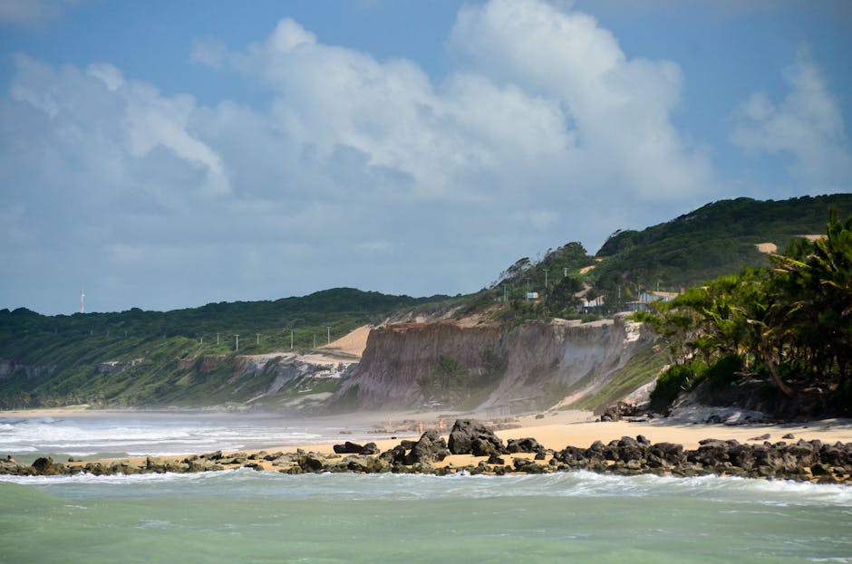 Explore a beautiful tropical beach with rocky shoreline and lush greenery in this scenic ocean view.